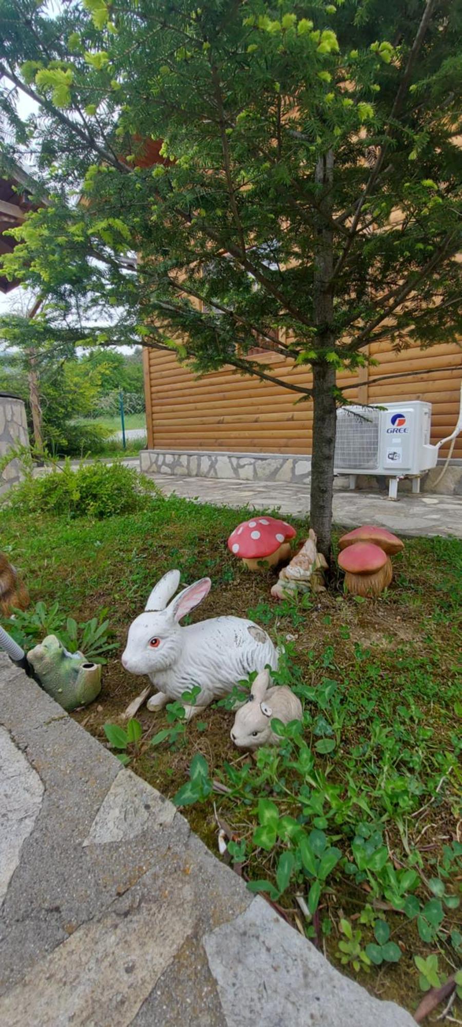 Mini Complex Rilski Terasi ساباريفا بانيا المظهر الخارجي الصورة