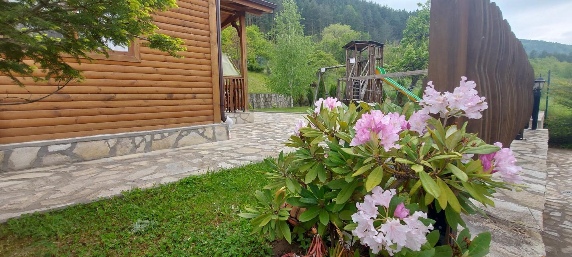 Mini Complex Rilski Terasi ساباريفا بانيا المظهر الخارجي الصورة