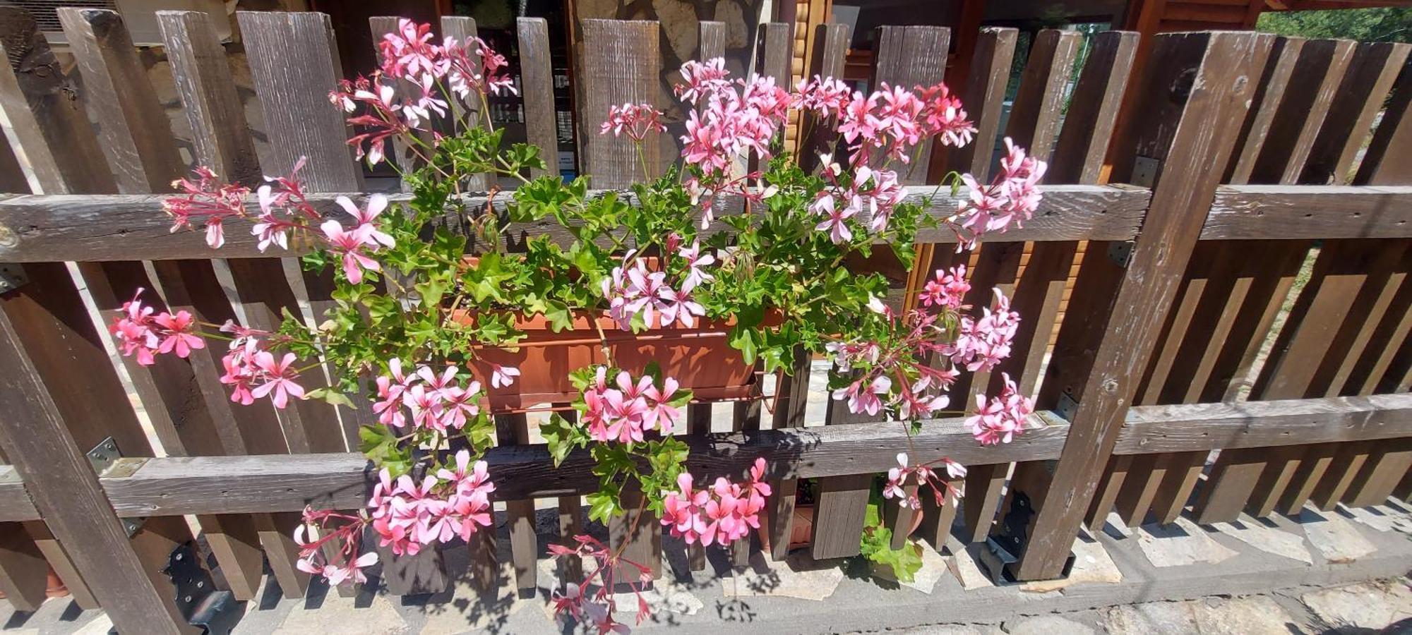 Mini Complex Rilski Terasi ساباريفا بانيا المظهر الخارجي الصورة