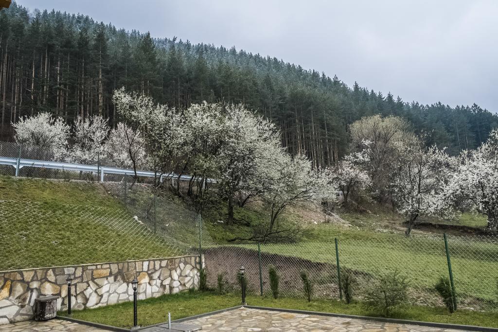 Mini Complex Rilski Terasi ساباريفا بانيا المظهر الخارجي الصورة